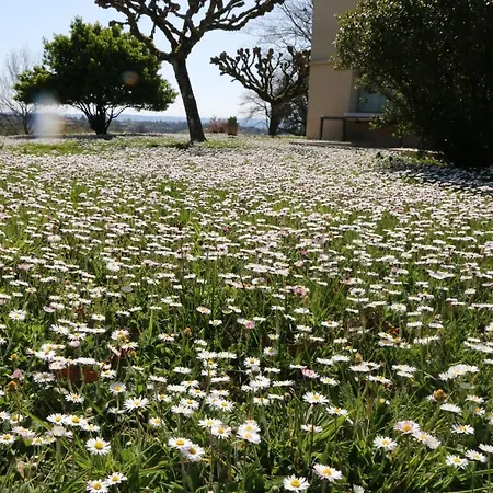 Bel Air De Rosette